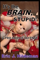 It's the BRAIN, Stupid! B0FQRJCFXL Book Cover