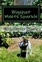 Bigshot Meets Sparkle 1481058568 Book Cover