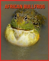 African Bullfrog: Beautiful Pictures & Interesting Facts Children Book About African Bullfrog B08W3MCHPN Book Cover