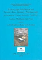 Bronze Age Field System at Tower's Fen, Thorney, Peterborough: Excavations at 'Thorney Borrow Pit' 2004-2005 (British Archaeological Reports) 1407303635 Book Cover