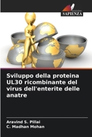 Sviluppo della proteina UL30 ricombinante del virus dell'enterite delle anatre 663033602X Book Cover
