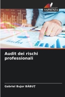 Audit dei rischi professionali (Italian Edition) 6209503470 Book Cover
