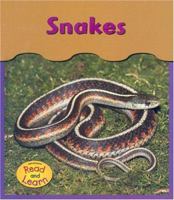Snakes (Whitehouse, Patricia, Under My Feet.) 1403443203 Book Cover