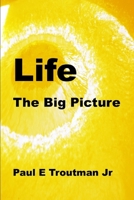 Life: The Big Picture B0892B4D6G Book Cover