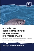 ВОЗДЕЙСТВИЕ СЕДИМЕНТАЦИИ РЕКИ МАЛАГАРАЗИ НА БИОРАЗНООБРАЗИЕ: Obschaq cel' nashego issledowaniq zaklüchalas' w izuchenii wliqniq sedimentacii na bioraznoobrazie 6204133241 Book Cover