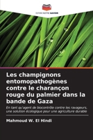 Les champignons entomopathogènes contre le charançon rouge du palmier dans la bande de Gaza (French Edition) 6206668991 Book Cover