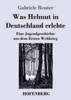 Was Helmut in Deutschland erlebte: Eine Jugendgeschichte aus dem Ersten Weltkrieg 3743742519 Book Cover