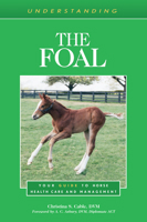 Understanding the Foal 1493074733 Book Cover