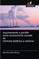 Inquinamento e perdite socio-economiche causate da Centrale elettrica a carbone 6202891270 Book Cover