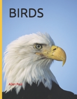 BIRDS B09C333GK9 Book Cover