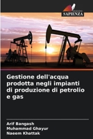 Gestione dell'acqua prodotta negli impianti di produzione di petrolio e gas (Italian Edition) 6202323558 Book Cover