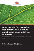 Analyse de l'expression des micro-ARN dans le carcinome urothélial de la vessie (French Edition) 6208640342 Book Cover