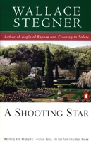 A Shooting Star 014025241X Book Cover