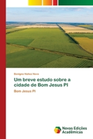 Um breve estudo sobre a cidade de Bom Jesus PI B094T5BYLD Book Cover