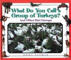 What Do You Call a Group Of - Turkeys? And Other Bird Groups (What Do You Call a Group Of) 1567113575 Book Cover