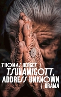 Tsunamigott, address unknown (German Edition) 375976052X Book Cover