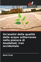 Un'analisi della qualità delle acque sotterranee nella pianura di Asadabad, Iran occidentale (Italian Edition) 6208103584 Book Cover