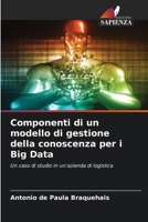 Componenti di un modello di gestione della conoscenza per i Big Data: Un caso di studio in un'azienda di logistica B0CKKQ7CYS Book Cover
