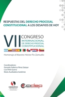 Respuestas del Derecho Procesal Constitucional a los desafíos de hoy: VII Congreso Internacional de Derecho Procesal Constitucional 980783418X Book Cover