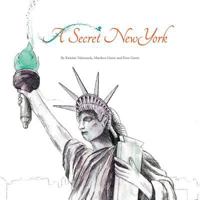 A Secret New York 0994554206 Book Cover
