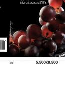 The Vineyard Surprise 1479390852 Book Cover