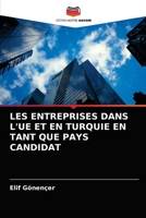 LES ENTREPRISES DANS L'UE ET EN TURQUIE EN TANT QUE PAYS CANDIDAT 6202730218 Book Cover