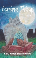 Curious Things: A Compilation of Curiously Disturbing & Sometimes Horrifying Stories 1087284015 Book Cover
