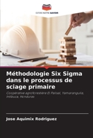 Méthodologie Six Sigma dans le processus de sciage primaire (French Edition) 6206459934 Book Cover