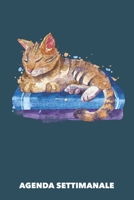 Agenda Settimanale: Gatto addormentato A5 manoscritto floreale - Agenda con Pianificatore Settimanale 52 settimane per Proprietario del Gatto (azzurro) (Italian Edition) 1689905689 Book Cover