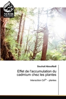 Effet de l'accumulation du cadmium chez les plantes 6204719866 Book Cover