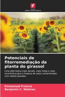Potenciais de fitorremediação da planta do girassol 6207423364 Book Cover