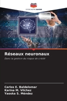 Réseaux neuronaux (French Edition) 6208625971 Book Cover