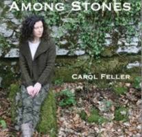 Among Stones 0957121229 Book Cover