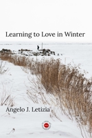 Learning to Love in Winter 0648611108 Book Cover