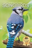 Picture Book of Charming Songbirds: A Peaceful Collection of Real Bird Photography for Seniors Living with Memory Loss, Alzheimer’s, or Dementia B0FX75G76X Book Cover