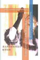 The perfect italian pronunciation: With pronunciation dictionary 1549837389 Book Cover