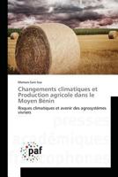 Changements Climatiques Et Production Agricole Dans Le Moyen Ba(c)Nin 3841636152 Book Cover