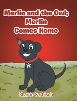 Merlin and the Owl: Merlin Comes Home 1646704444 Book Cover