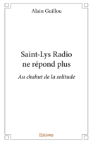 Saint-Lys Radio ne répond plus (French Edition) 2414202297 Book Cover