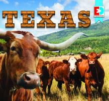 Texas (Eyediscover) 1791149081 Book Cover