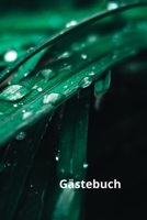 Gstebuch: Fr Hotels, Pensionen, Hostels, Firmen und auch fr private Haushalte 165080198X Book Cover