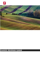 Uma Introdução à História Económica da Índia Antiga: Períodos Mauryan e Gupta 6205904063 Book Cover