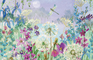 Dragonflies & Dandelions Note Cards