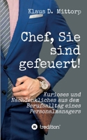 Chef, Sie sind gefeuert!: Kurioses und Nachdenkliches aus dem Berufsalltag eines Personalmanagers 334735852X Book Cover