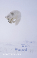 Third Wish Wasted 1852248289 Book Cover