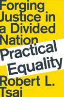 Practical Equality: Forging Justice in a Divided Nation 0393358550 Book Cover