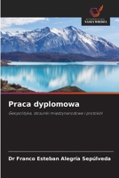 Praca dyplomowa (Polish Edition) 6209692176 Book Cover