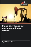Piano di sviluppo del giacimento di gas stretto (Italian Edition) 6208391865 Book Cover