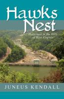 Hawks Nest: Holocaust in the Hills of West Virginia 1456301543 Book Cover
