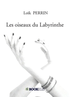 Les oiseaux du Labyrinthe (French Edition) B093WMPG15 Book Cover